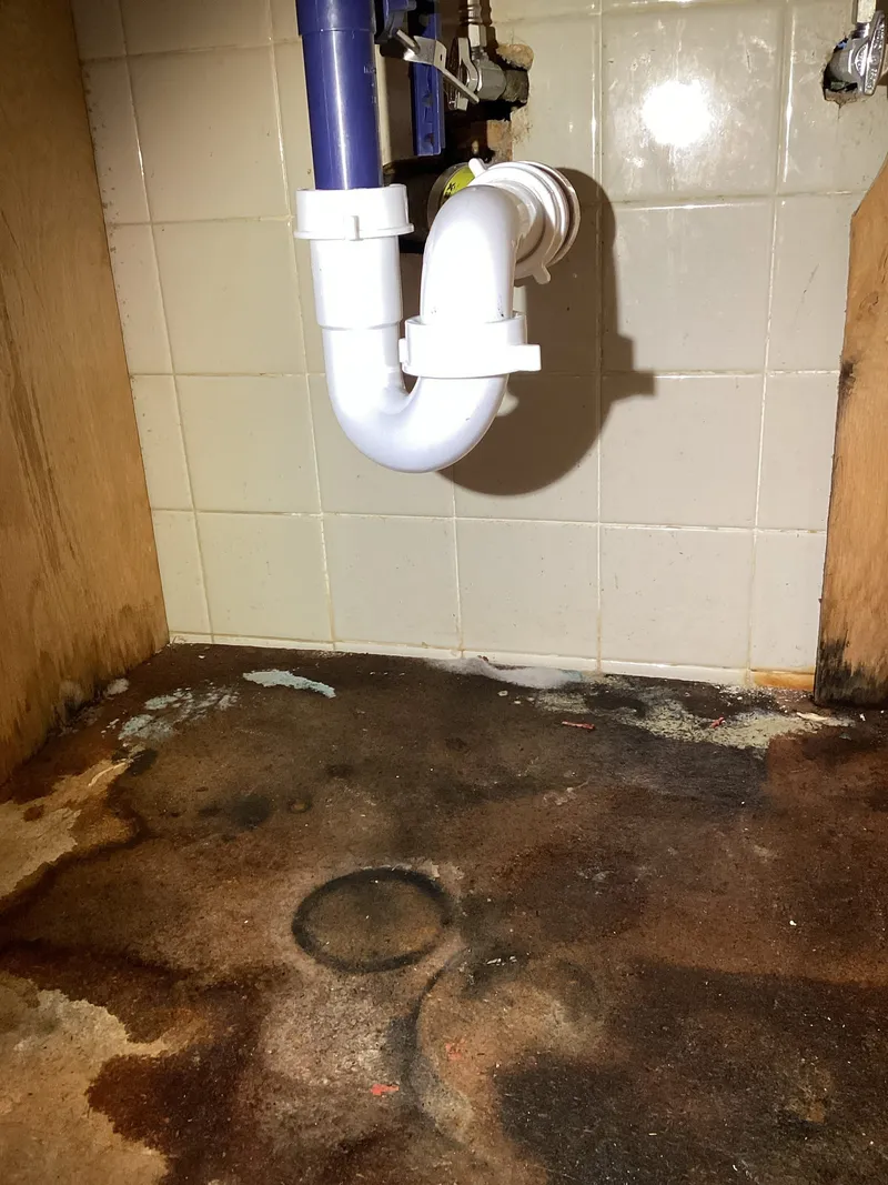 Bathroom Sink Leak Fix project in Saint Paul Park, Minnesota, photo 1 of 1