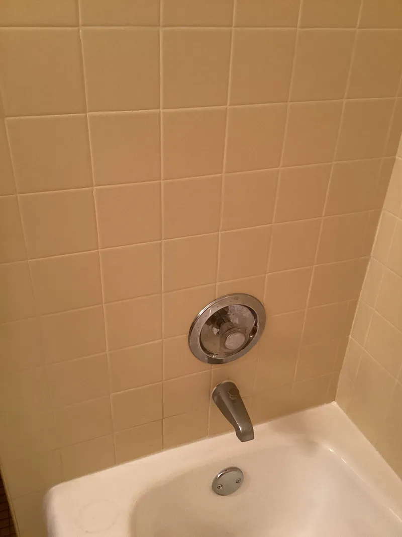 Ceiling Leak Diagnosis and Upstairs Toilet Replacement project in Roseville, Minnesota, photo 1 of 6