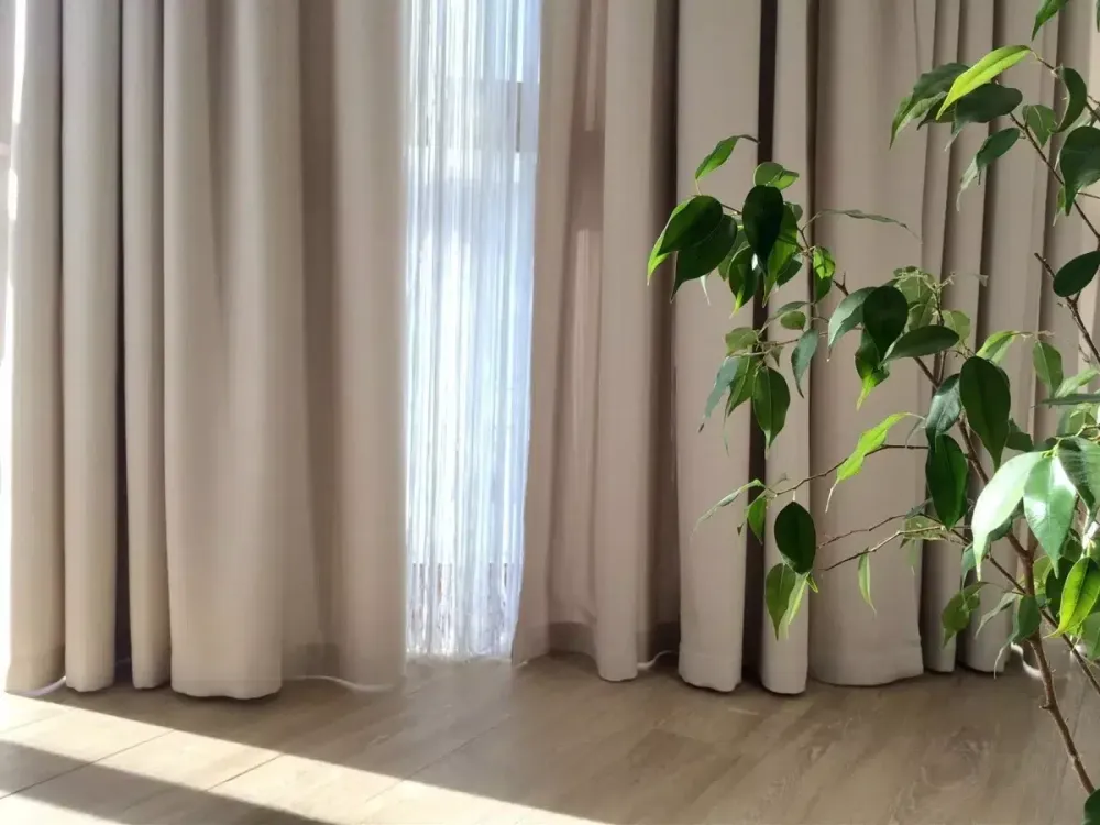 Curtains covering a window beside a houseplant