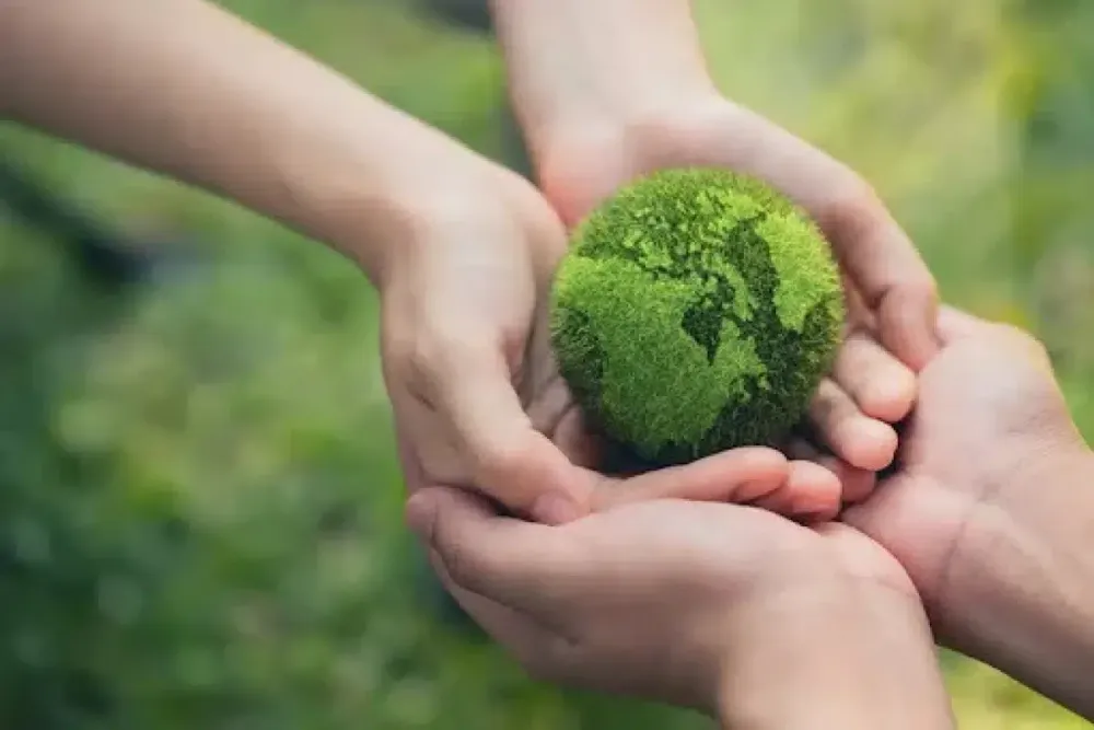 Hands holding a small green globe