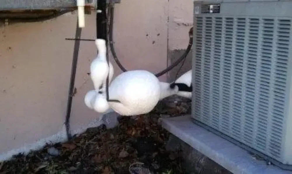 Ice covering the refrigerant line beside an outdoor air conditioner