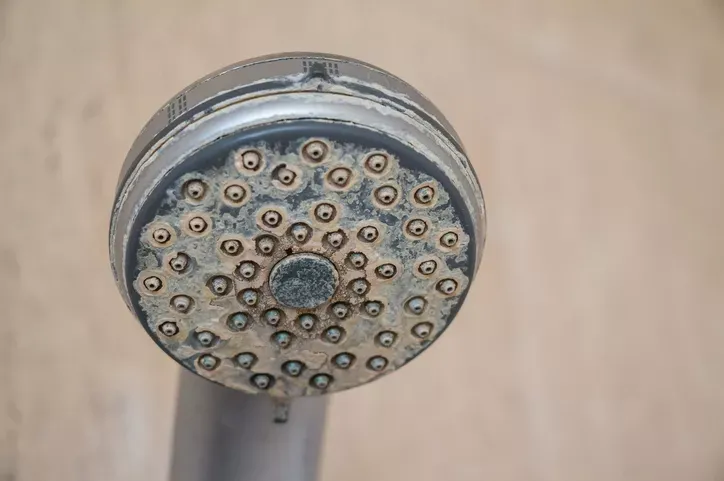 Mineral deposits on a showerhead