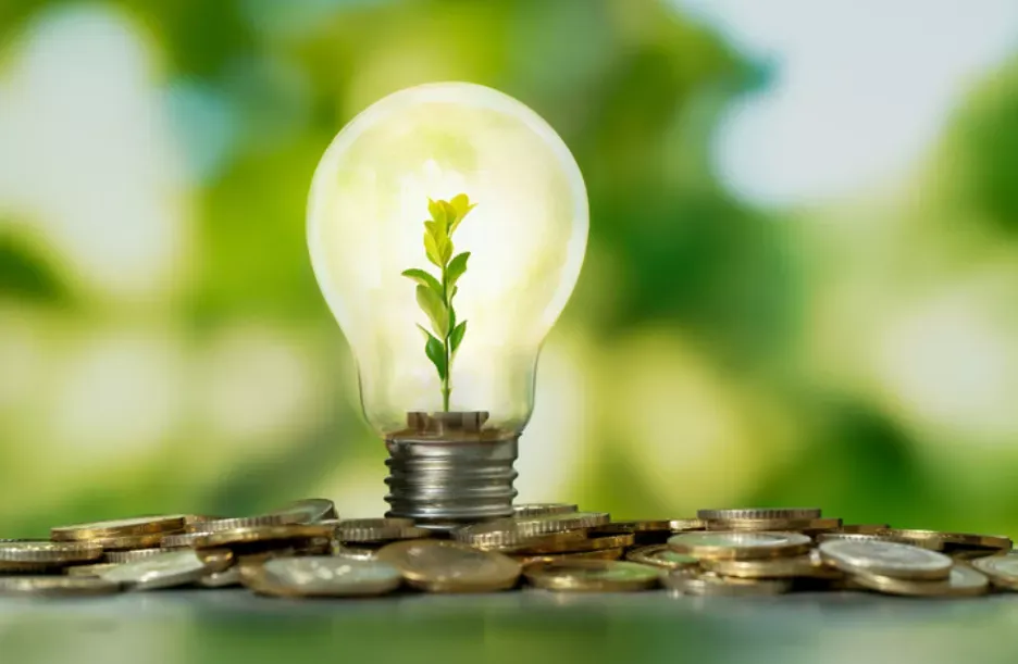 Plant inside a light bulb resting on coins
