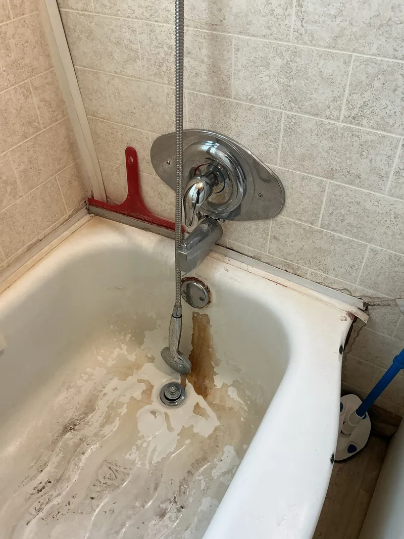 Shower Cartridge Replacement project in Saint Paul Park, Minnesota, photo 1 of 1