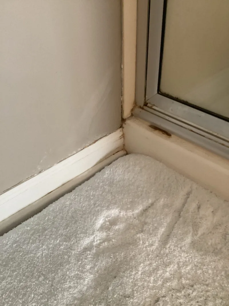 Shower Leak Recaulk project in Maple Grove, Minnesota, photo 1 of 1