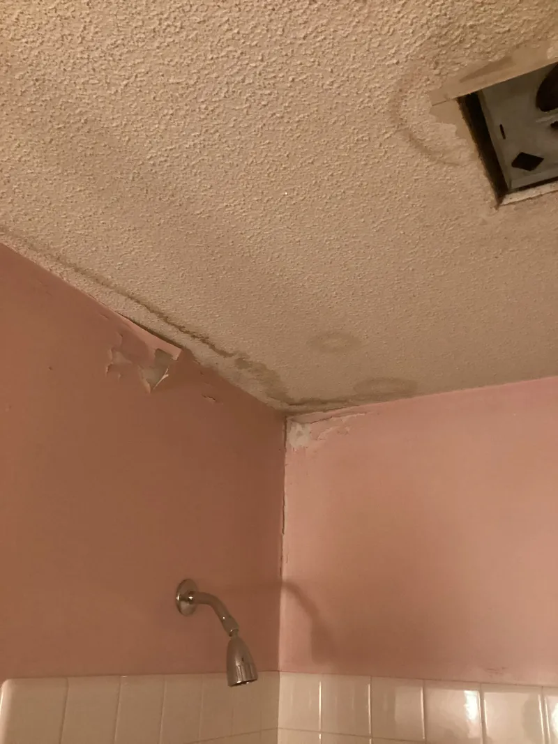 Toilet Flapper Replacement project in North St Paul, Minnesota, photo 1 of 6