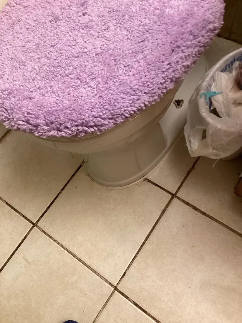 Toilet Pull and Reset project in Minneapolis, Minnesota, photo 1 of 5