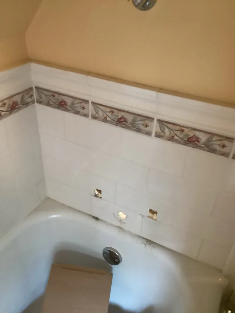 Whole-Home Bath Repipe and New Shower Valve Installation project in Roseville, Minnesota, photo 1 of 6